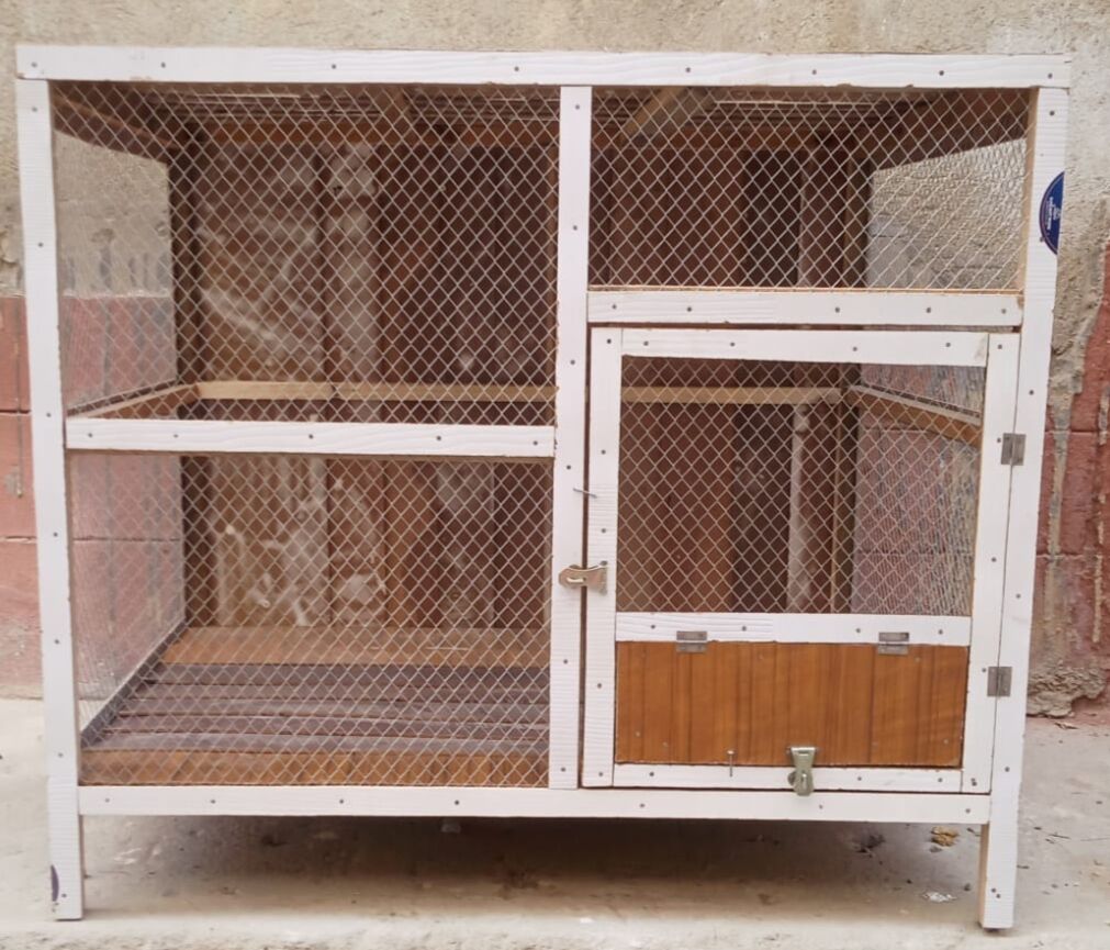 Cages for hen, cats, puppy