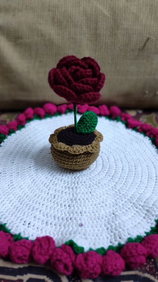 Crocheted flower pot 🌻