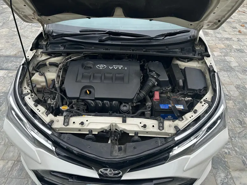 Altis grande