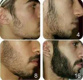 Bread growth serum