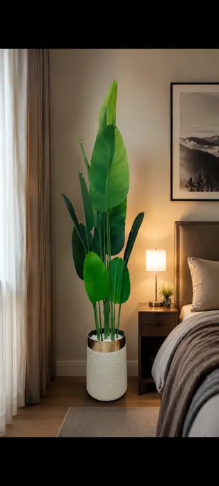 Banana plant with pot