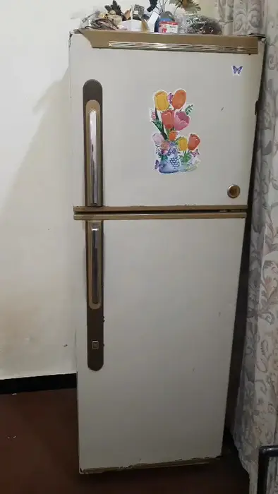 Fridge