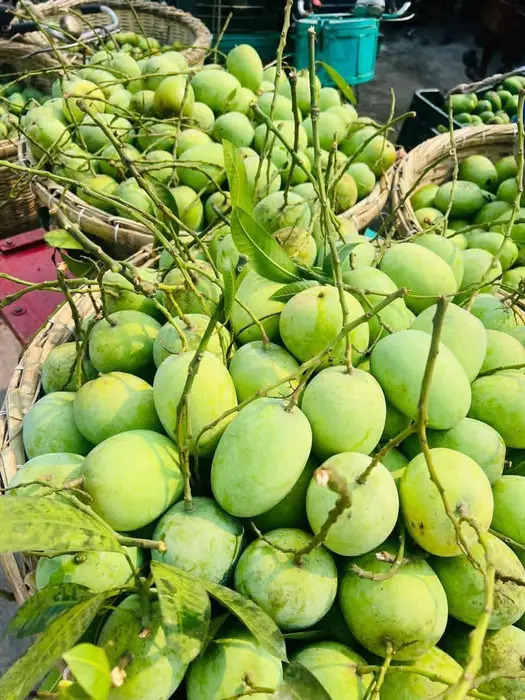 Anwar Retool